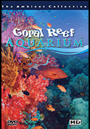 tropical-fishes-marine-sea-life-and-coral-reefs