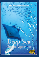 4k_deep_sea_ocean_aquarium