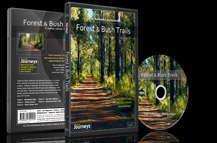 Fitness-Journeys-Forest-and-Bush-Trails