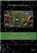 malawi-fresh-water-fish-tanks