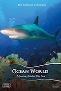 ocean_world_an_underwater_relacation_experience