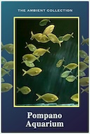 pompano_aquarium