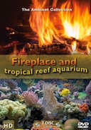 Fireplace And Tropical Reef Aquarium