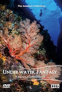 4k_underwater_fantasy