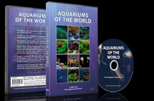 Tropical and Freshwater Fishes and Marine Life from around the Blue Oceans