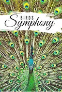 birds_symphony_birds_see_birds_in_slow_motion_from_all_over_the_world