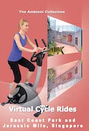 4k_virtual_cycle_rides_east_coast_park_and_jurassic_mile_singapore