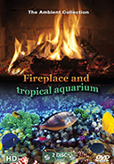 Fireplace and Tropical Aquarium 2016