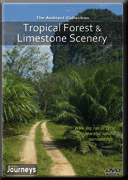 Fitness-Journeys-Tropical-Forest-and-Limestone-Scenery