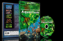 Fish Tanks with Fishes from the Rivers and Lakes and Seas