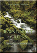 rainforest_creeks_natural_scenery_of_mountain_streams