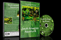 Aquariums from Amazon Rivers and Lakes with Freshwater Fishes