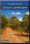 Fitness-Journeys-Canyon-Landscapes