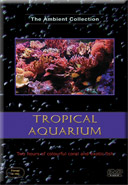 Aquariums from Fish from the Tropics