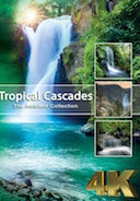 tropical_cascades_4k