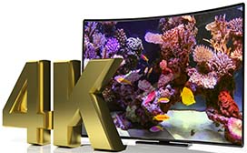 4K | Tropical Reef Aquarium in Ultra HD