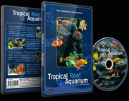 Tropical Fishes and Marine Sea Life and Coral Reefs 