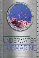 underwater_submarine_coral_reef_view_with_scuba_underwater_and_submarine_sounds