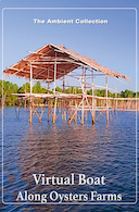 virtual_boat_along_oysters_farms_in_golden_light