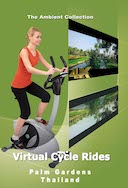 4k_virtual_cycle_rides_palm_gardens_with_natural_sounds_and_music