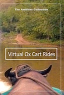 virtual_ox_cart_rides