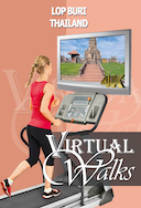 virtual_walk_city_of_monkeys_lop_buri_thailand