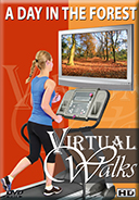 virtual-walks-a-day-in-the-forest