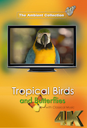 4_k_tropical_birds_and_butterflies