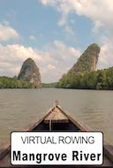 virtual_rowing_mangrove_river_krabi_thailand