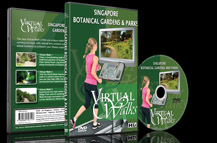 Virtual-Walks-Singapore-Botanical-Gardens-and-Parks